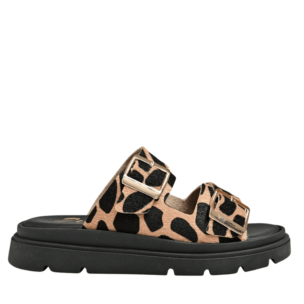 zizel-flat-leopar–F91 (1) zizel-flat-leopar–F91 (1)