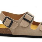 plakton-186396-afelpado-piedra (1)