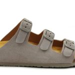 plakton-186456-afelpado-bleir (1)