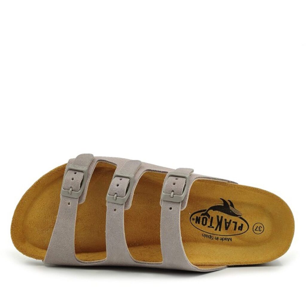 plakton-186456-afelpado-bleir (2)